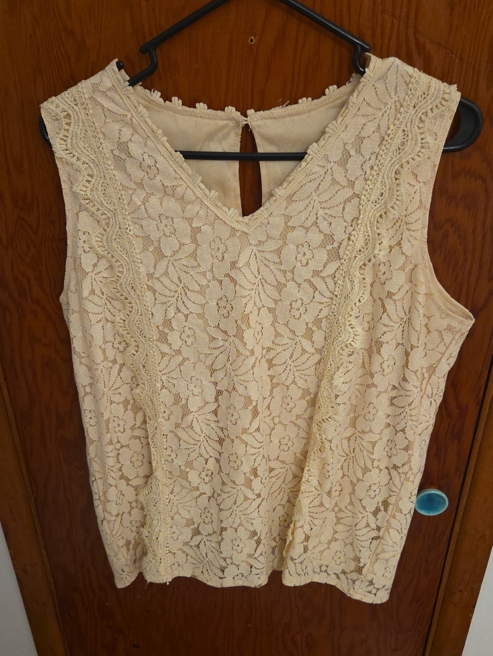 Lace Sleeveless V-Neck Top in Cream